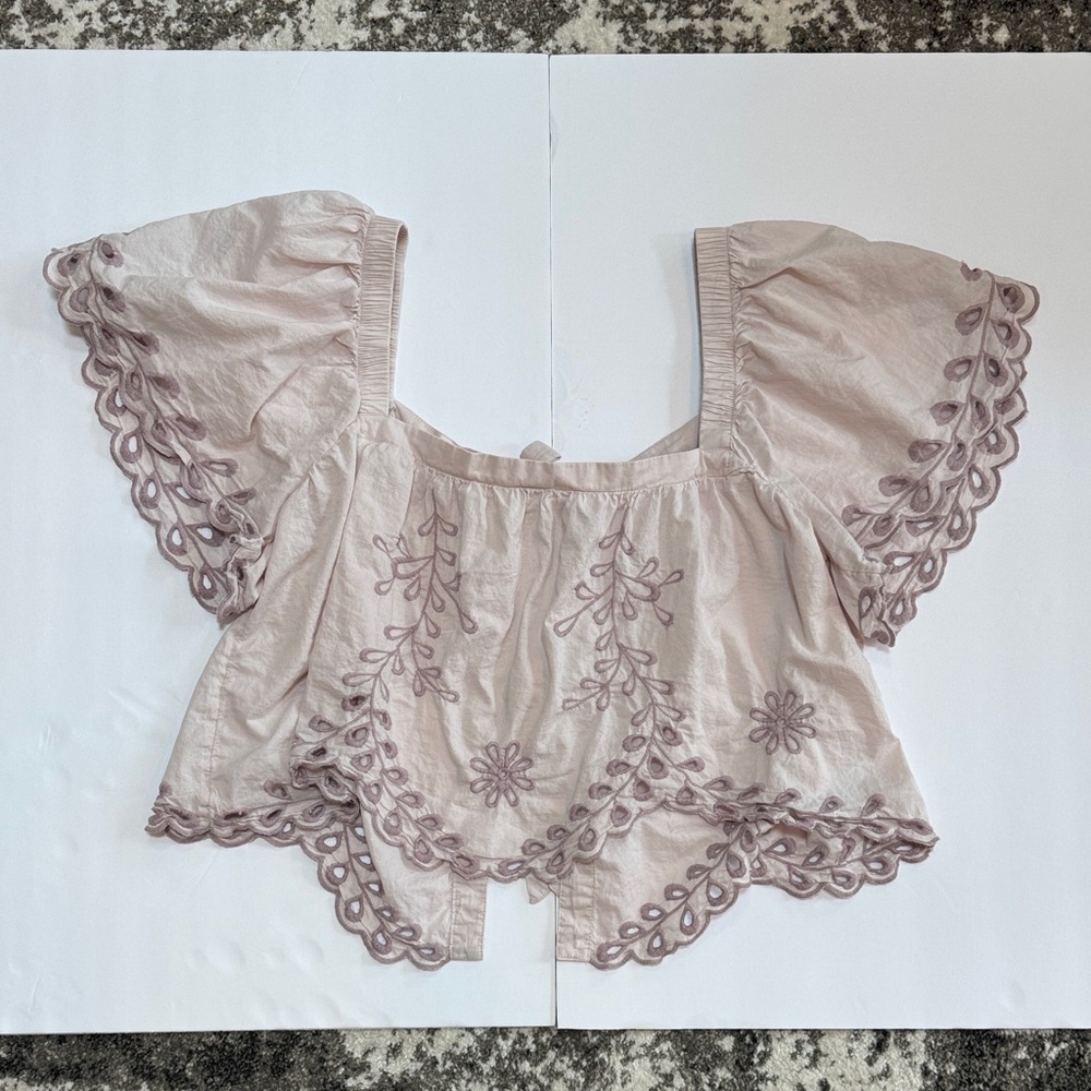 American Eagle Outfitters Dusty Blush Embroidered Crop Top